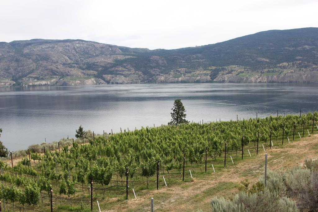 Sunshine And Wine Loft Hotel Penticton Luaran gambar